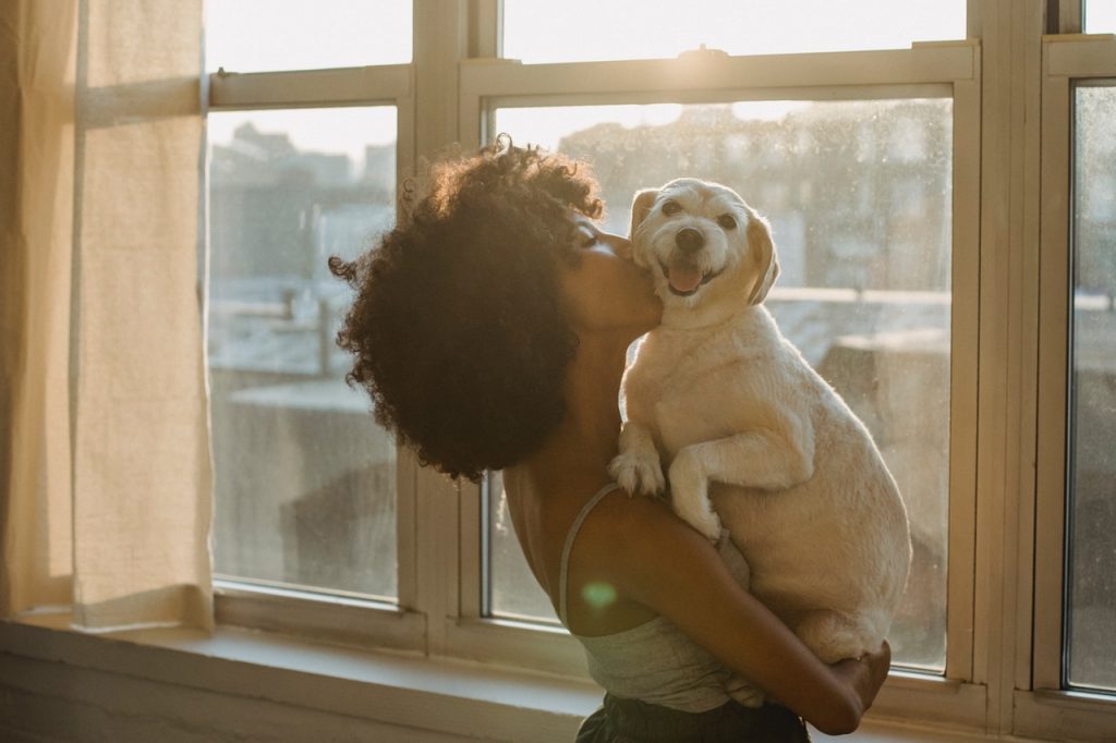 Shifting The Pets