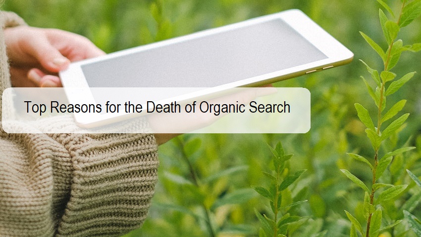 Organic Search