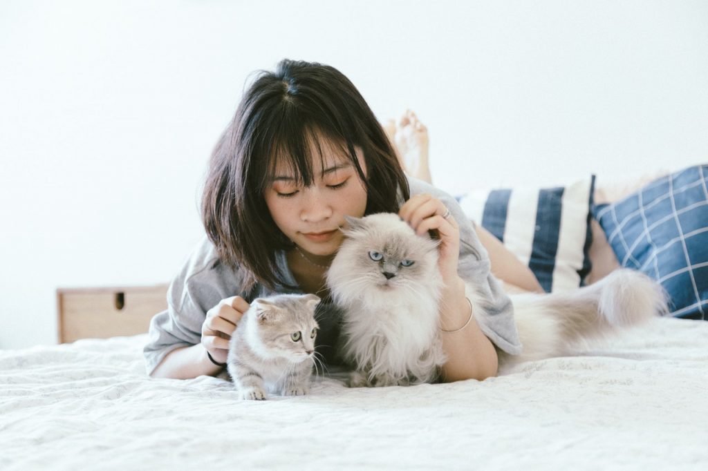 Moving with pet