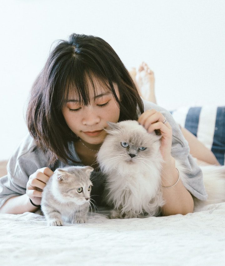 Tips And Hints For Moving With Pet