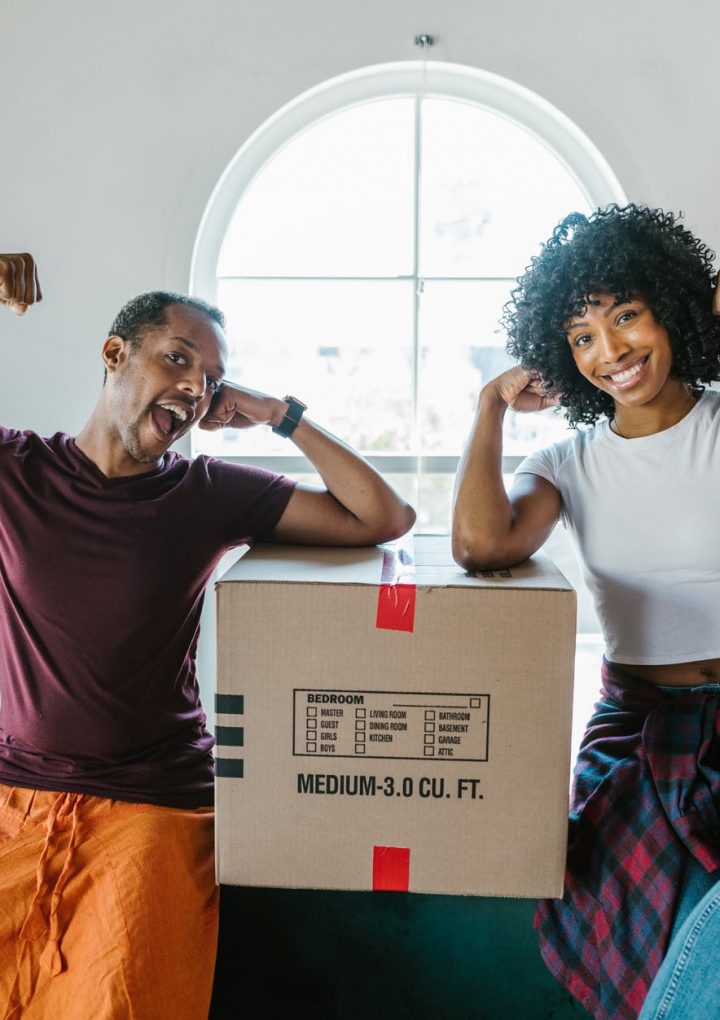 Why You Should Use only Professional Removers