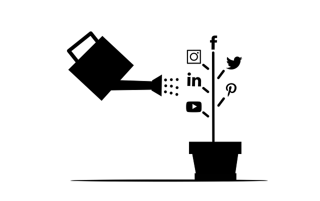 Deals Force Automation – What’s available for you?